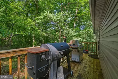 272 Willow Lane, Mount Jackson, VA 22842 - Photo 25