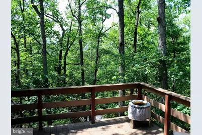 141 Mallard Drive, Basye, VA 22810 - Photo 13