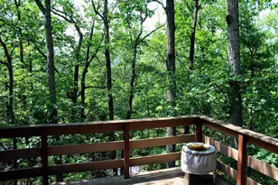 141 Mallard Dr, Basye, VA 22810 - Photo 13