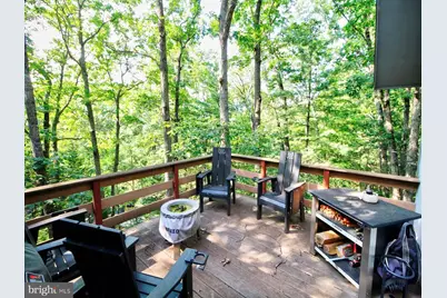 141 Mallard Drive, Basye, VA 22810 - Photo 11