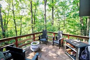 141 Mallard Dr, Basye, VA 22810 - Photo 11