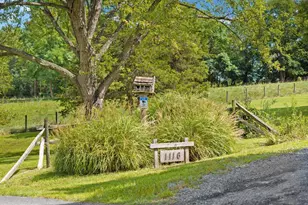 1116 Maurertown Mill Rd, Maurertown, VA 22644 - Photo 61