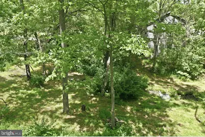 1511 Boliver Road, Fort Valley, VA 22652 - Photo 53