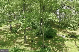 1511 Boliver Rd, Fort Valley, VA 22652 - Photo 53