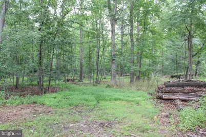 4547 Alum Springs Road, Edinburg, VA 22824 - Photo 47