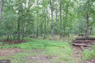 4547 Alum Springs Rd, Edinburg, VA 22824 - Photo 47