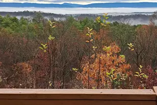 685 N Maple, Mount Jackson, VA 22842 - Photo 1