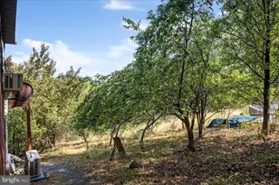 685 N Maple, Mount Jackson, VA 22842 - Photo 47