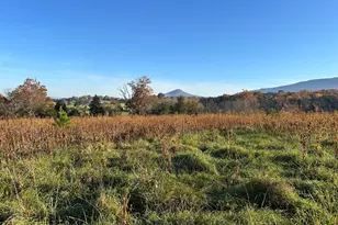 Smith Creek Rd, New Market, VA 22844 - Photo 1