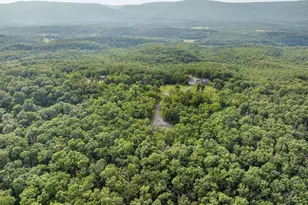 412 Mile Ridge Estate, Strasburg, VA 22641 - Photo 49