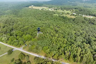 412 Mile Ridge Estate, Strasburg, VA 22641 - Photo 45