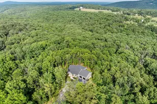 412 Mile Ridge Estate, Strasburg, VA 22641 - Photo 53