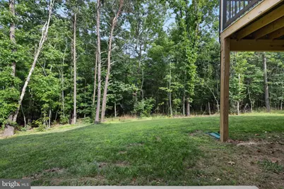 412 Mile Ridge Estate, Strasburg, VA 22641 - Photo 35