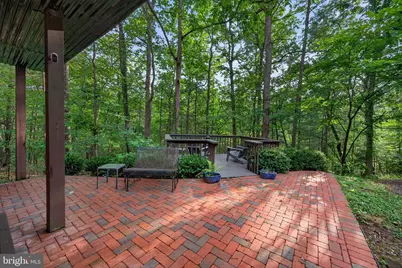155 Beech, Mount Jackson, VA 22842 - Photo 51