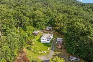 317 Vale Vista Dr, Edinburg, VA 22824 - Photo 59
