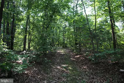 317 Vale Vista Drive, Edinburg, VA 22824 - Photo 85