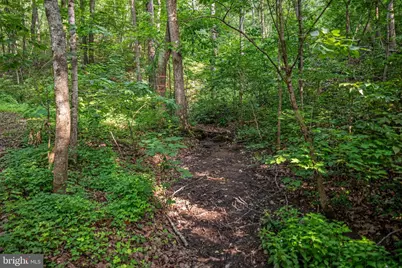317 Vale Vista Drive, Edinburg, VA 22824 - Photo 43