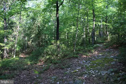 317 Vale Vista Drive, Edinburg, VA 22824 - Photo 81