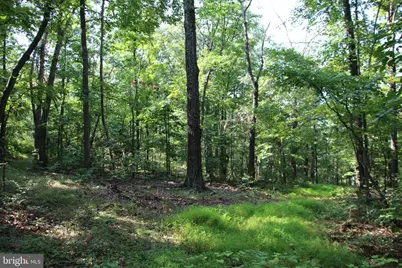 317 Vale Vista Drive, Edinburg, VA 22824 - Photo 71