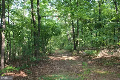 317 Vale Vista Drive, Edinburg, VA 22824 - Photo 83