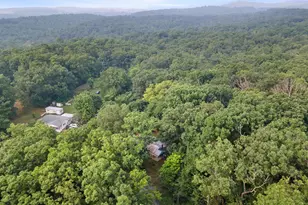 5111 Crooked Run Rd, Mount Jackson, VA 22842 - Photo 13