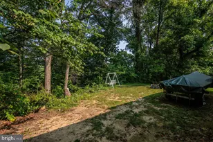 55 Lake Dr, Edinburg, VA 22824 - Photo 71