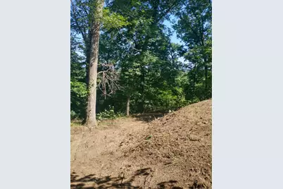 55 Lake Drive, Edinburg, VA 22824 - Photo 71