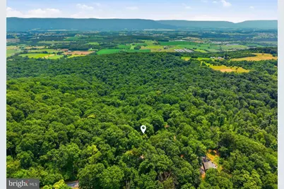 460 Hilltop Lane, Mount Jackson, VA 22842 - Photo 29