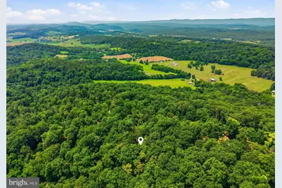 460 Hilltop Lane, Mount Jackson, VA 22842 - Photo 27