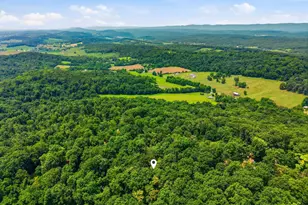 460 Hilltop Ln, Mount Jackson, VA 22842 - Photo 27