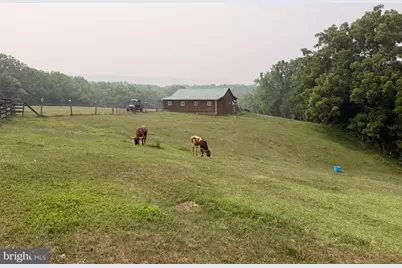 1579 Millner Road, Strasburg, VA 22657 - Photo 13