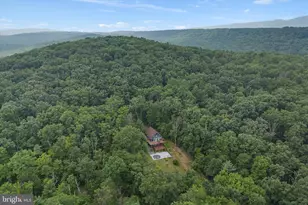 1311 Hepner Rd, Mount Jackson, VA 22842 - Photo 45