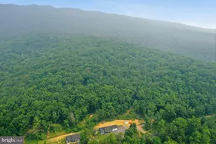 4111 Moreland Gap Rd, New Market, VA 22844 - Photo 43