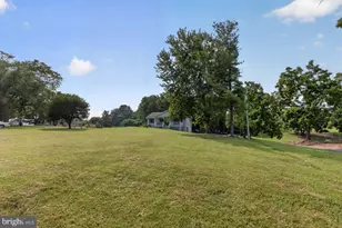 10727 Old Valley Pike, Mount Jackson, VA 22842 - Photo 31