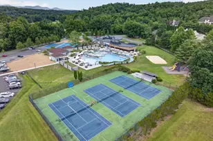213 Morrie Dr, Basye, VA 22810 - Photo 47