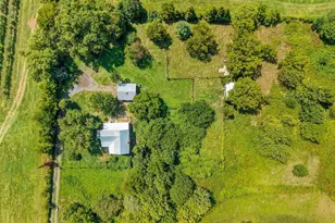 242 Solomon's Church Rd, Quicksburg, VA 22847 - Photo 53