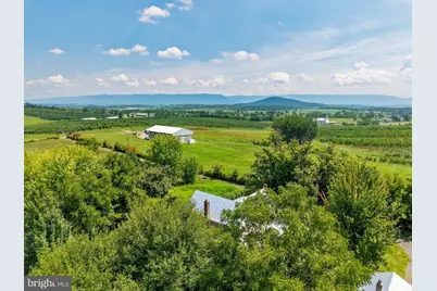 242 Solomons Church Road, Quicksburg, VA 22847 - Photo 47