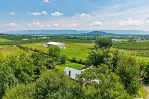 242 Solomon's Church Rd, Quicksburg, VA 22847 - Photo 47