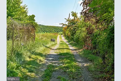 242 Solomons Church Road, Quicksburg, VA 22847 - Photo 13