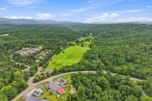 329 The Hill Rd, Basye, VA 22810 - Photo 43