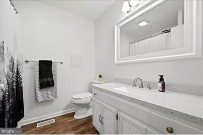 17747 Senedo Road, Edinburg, VA 22824 - Photo 29