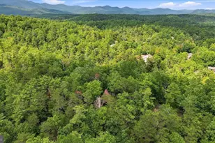 863 Lee Rd, Basye, VA 22810 - Photo 45