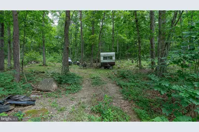 Tbd Dogwood Drive, New Market, VA 22844 - Photo 9