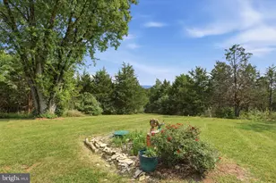 29674 Old Valley Pike, Strasburg, VA 22657 - Photo 37