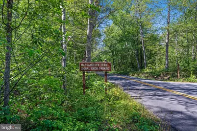 185 Buck Run Lane, Fort Valley, VA 22652 - Photo 49