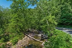 185 Buck Run Ln, Fort Valley, VA 22652 - Photo 53