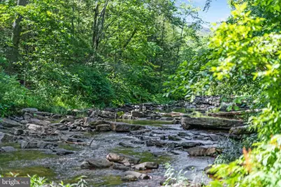 185 Buck Run Lane, Fort Valley, VA 22652 - Photo 51