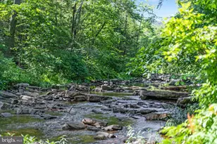 185 Buck Run Ln, Fort Valley, VA 22652 - Photo 51
