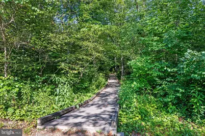 185 Buck Run Lane, Fort Valley, VA 22652 - Photo 43