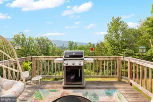 185 Buck Run Ln, Fort Valley, VA 22652 - Photo 19